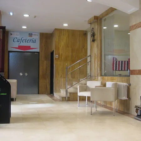 Acebos Azabache 기욘