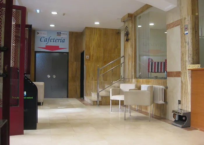 Acebos Azabache Gijón